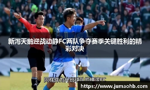 yy易游新泻天鹅迎战动静FC两队争夺赛季关键胜利的精彩对决